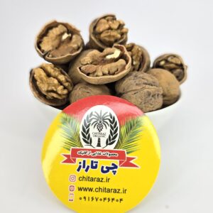 گردوی ایرانی